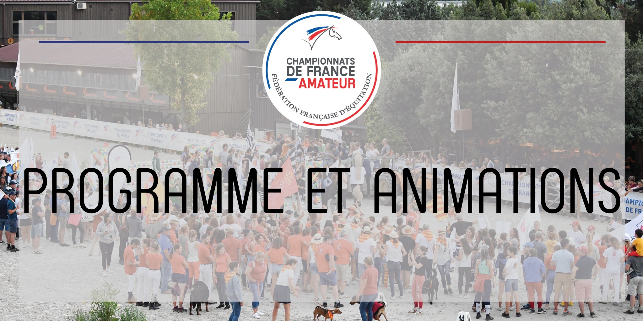 Programme et animations